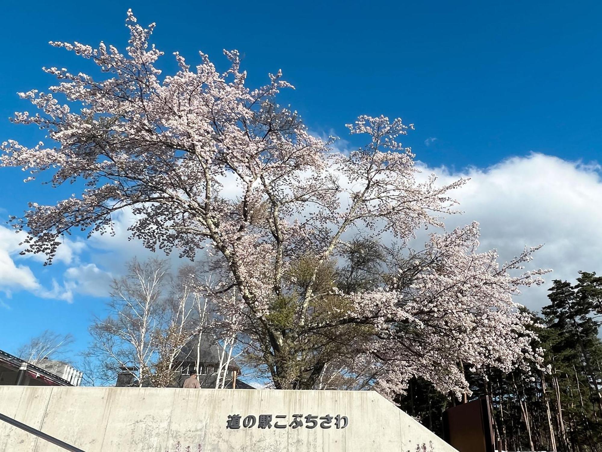Rakuten Stay Villa Yatsugatake هوكوتو المظهر الخارجي الصورة