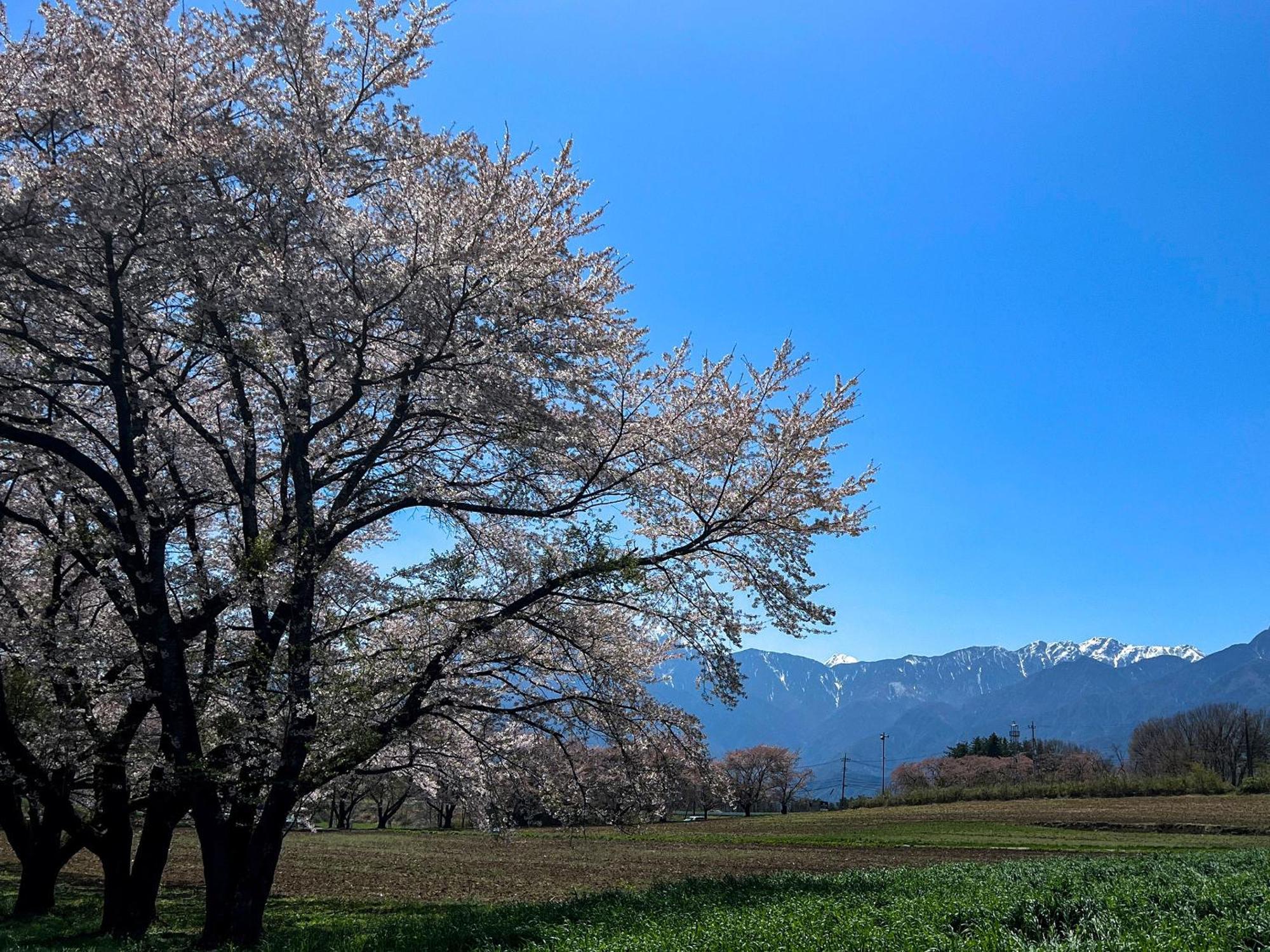 Rakuten Stay Villa Yatsugatake هوكوتو المظهر الخارجي الصورة